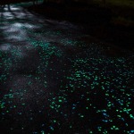 Van Gogh Bicycle Path - Daan Roosegaarde