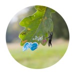 Le realtà micro di Slinkachu