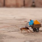 Le realtà micro di Slinkachu