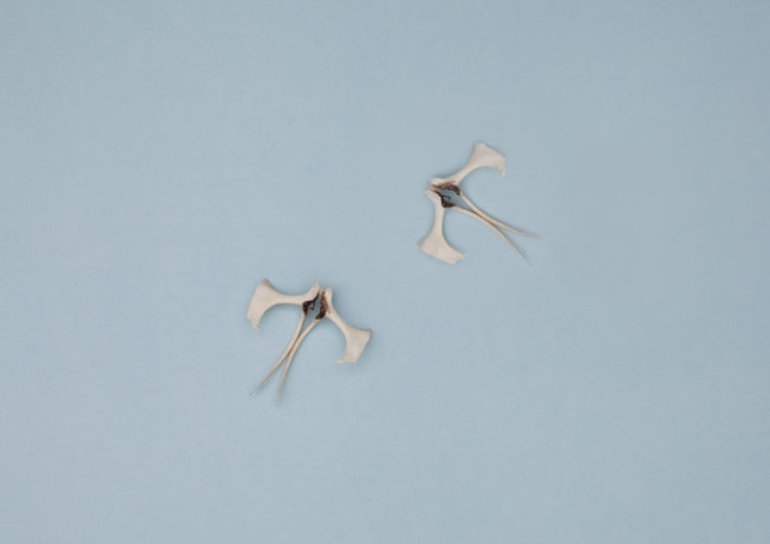 from DUNES, Bird+Bones, hips © Lux Eterna