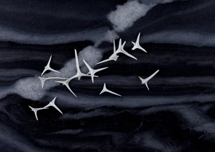 from DUNES, Ribs © Lux Eterna