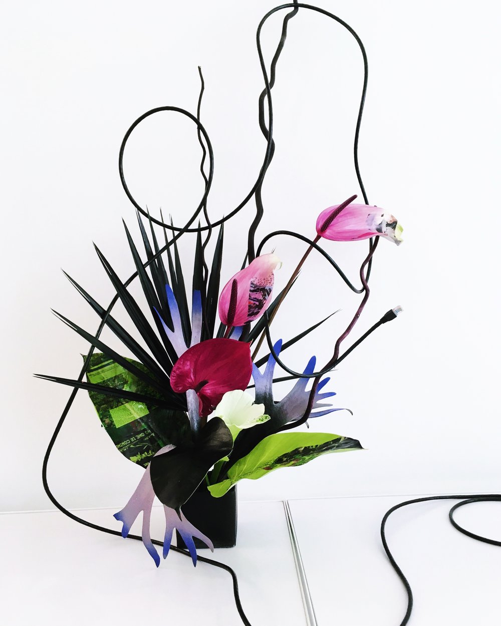 Le splendide sculture botaniche di Sophie Parker